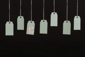 Canonical Tags